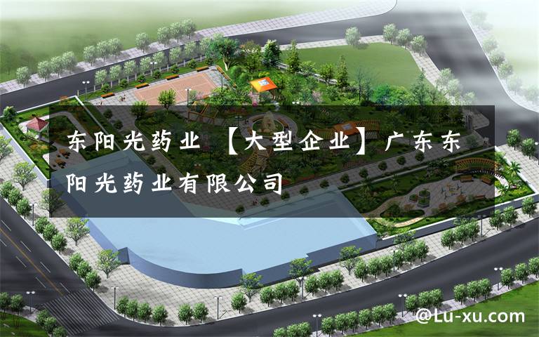 东阳光药业 【大型企业】广东东阳光药业有限公司