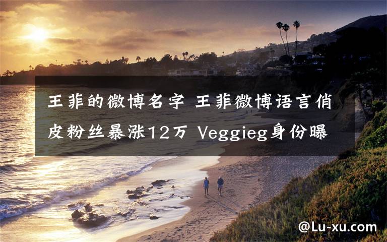 王菲的微博名字 王菲微博语言俏皮粉丝暴涨12万 Veggieg身份曝光