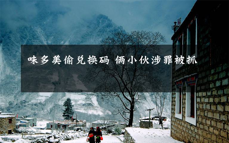 味多美偷兑换码 俩小伙涉罪被抓