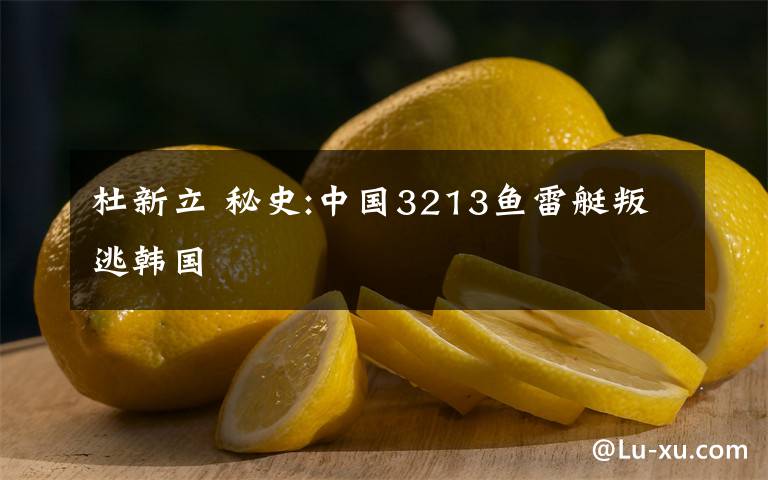 杜新立 秘史:中国3213鱼雷艇叛逃韩国