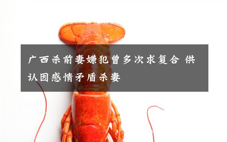 广西杀前妻嫌犯曾多次求复合 供认因感情矛盾杀妻