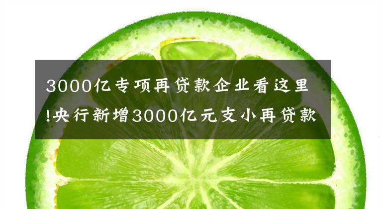 3000亿专项再贷款企业看这里!央行新增3000亿元支小再贷款额度