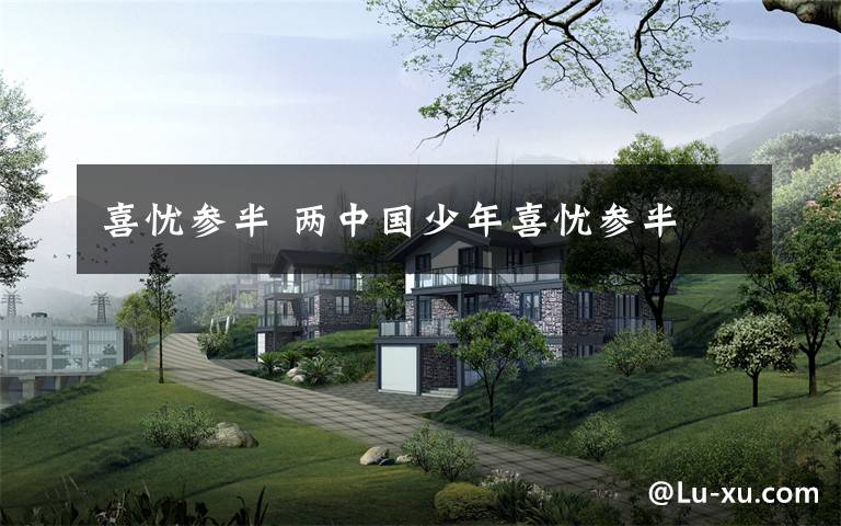 喜忧参半 两中国少年喜忧参半