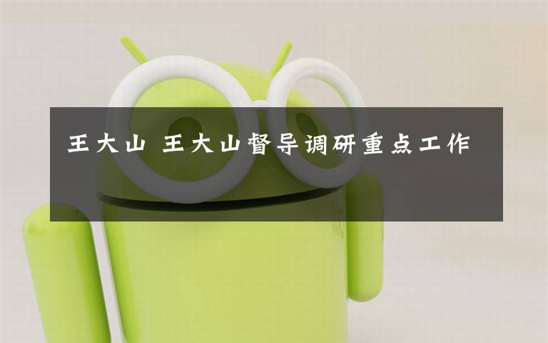 王大山 王大山督导调研重点工作