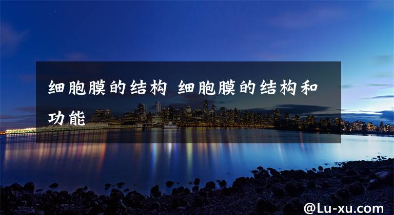 细胞膜的结构 细胞膜的结构和功能