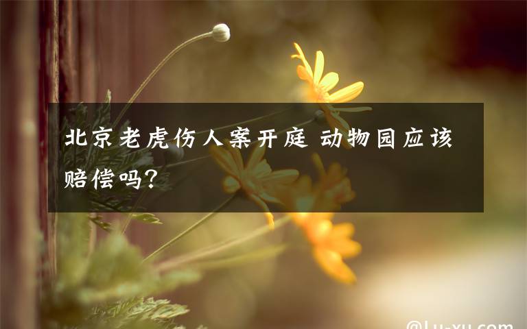 北京老虎伤人案开庭 动物园应该赔偿吗？