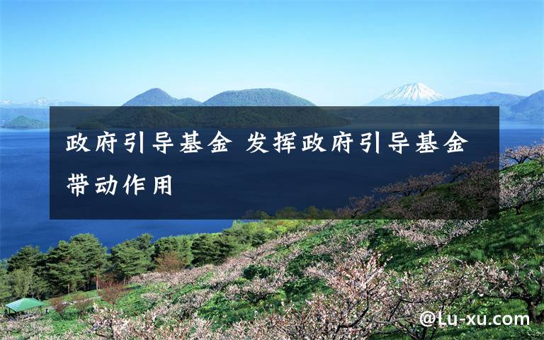 政府引导基金 发挥政府引导基金带动作用