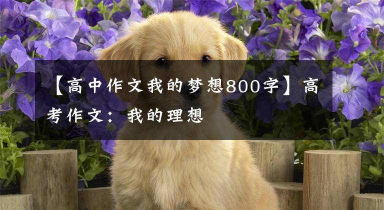 【高中作文我的梦想800字】高考作文:我的理想