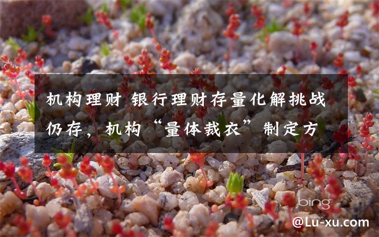 机构理财 银行理财存量化解挑战仍存，机构“量体裁衣”制定方案