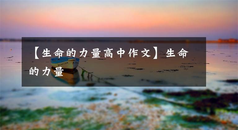 【生命的力量高中作文】生命的力量