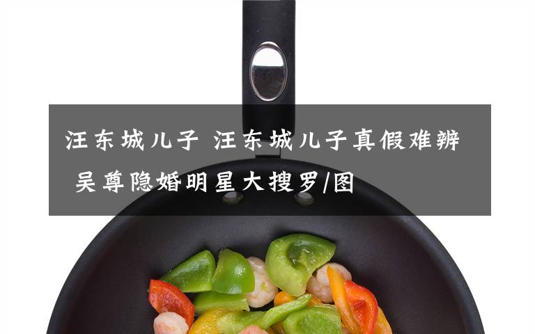 汪东城儿子 汪东城儿子真假难辨 吴尊隐婚明星大搜罗/图