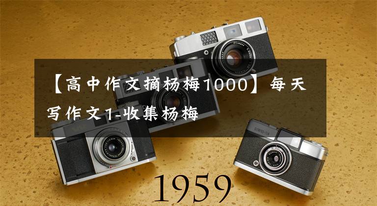 【高中作文摘杨梅1000】每天写作文1-收集杨梅