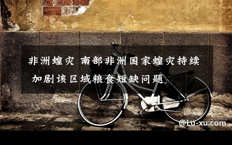 非洲蝗灾 南部非洲国家蝗灾持续 加剧该区域粮食短缺问题