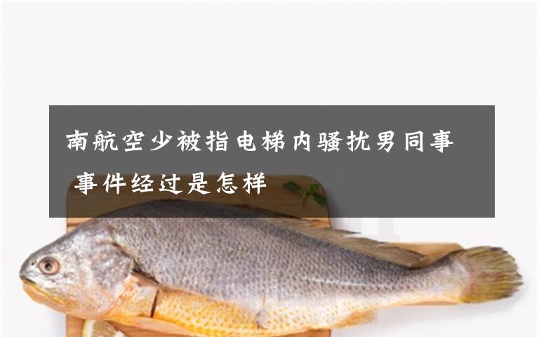 南航空少被指电梯内骚扰男同事 事件经过是怎样