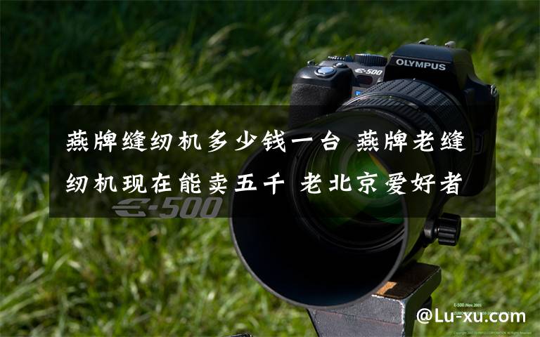 燕牌缝纫机多少钱一台 燕牌老缝纫机现在能卖五千 老北京爱好者高价求购