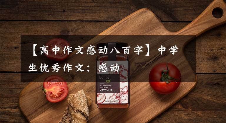 【高中作文感动八百字】中学生优秀作文:感动
