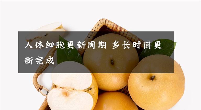 人体细胞更新周期 多长时间更新完成