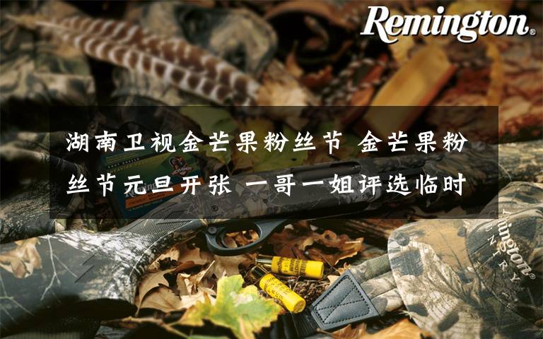 湖南卫视金芒果粉丝节 金芒果粉丝节元旦开张 一哥一姐评选临时撤下