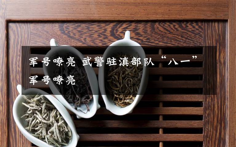 军号嘹亮 武警驻滇部队“八一”军号嘹亮