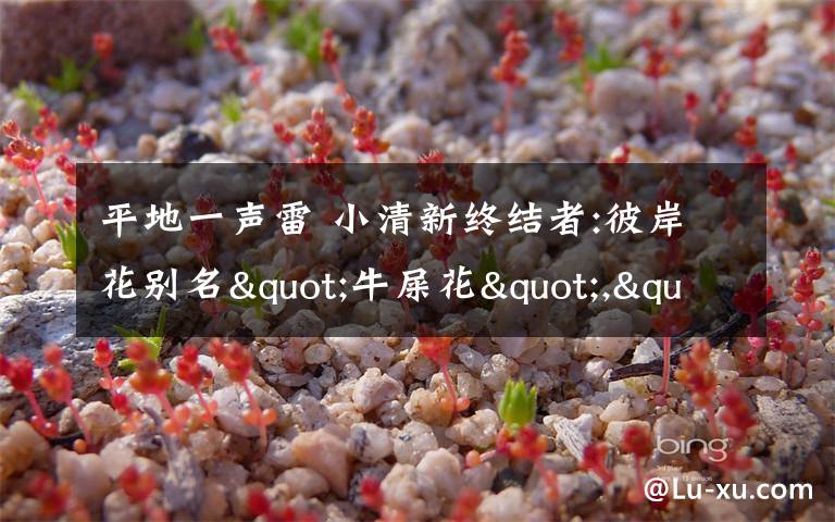 平地一声雷 小清新终结者:彼岸花别名"牛屎花","平地一声雷"