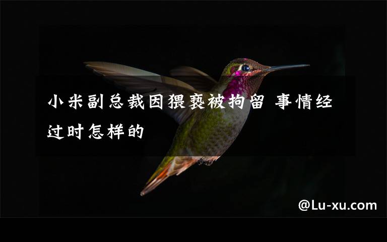 小米副总裁因猥亵被拘留 事情经过时怎样的