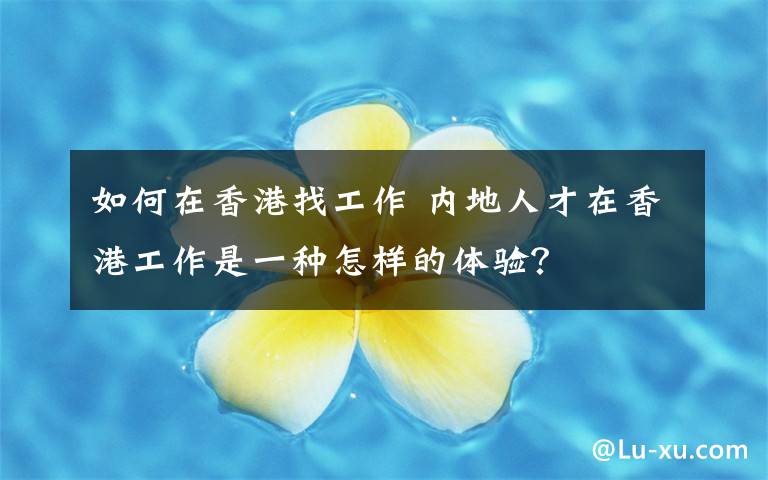 如何在香港找工作 内地人才在香港工作是一种怎样的体验?