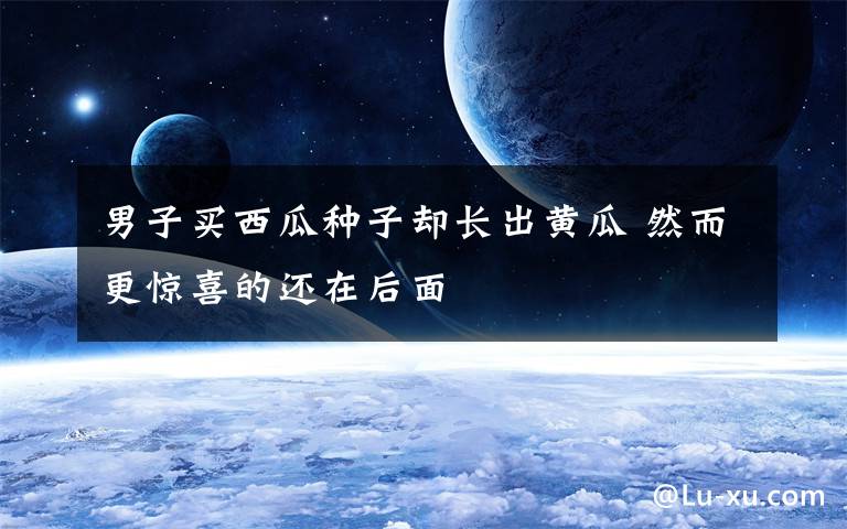 男子买西瓜种子却长出黄瓜 然而更惊喜的还在后面