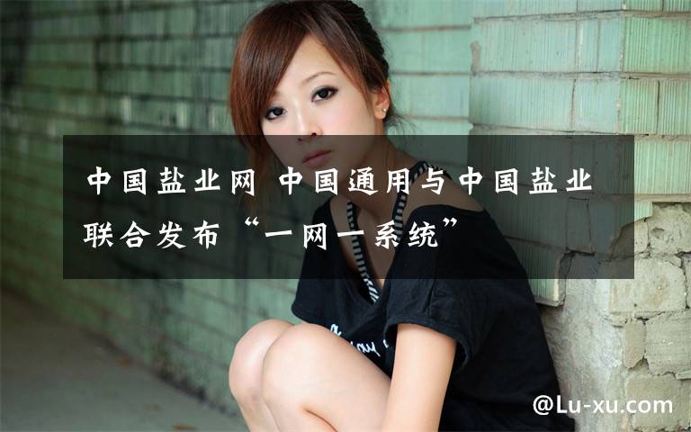 中国盐业网 中国通用与中国盐业联合发布“一网一系统”