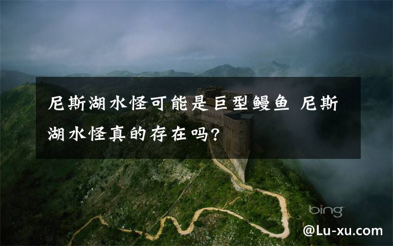 尼斯湖水怪可能是巨型鳗鱼 尼斯湖水怪真的存在吗?