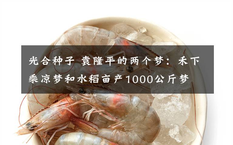 光合种子 袁隆平的两个梦:禾下乘凉梦和水稻亩产1000公斤梦