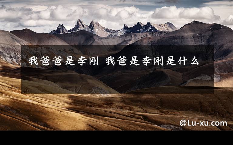 我爸爸是李刚 我爸是李刚是什么