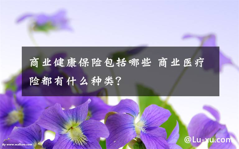 商业健康保险包括哪些 商业医疗险都有什么种类?