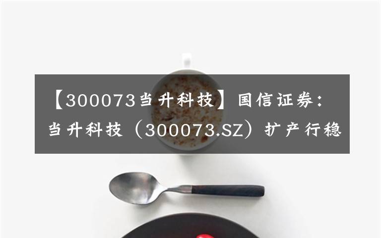 【300073当升科技】国信证券：当升科技（300073.SZ）扩产行稳致远，寻求高质量发展，维持“买入”评级