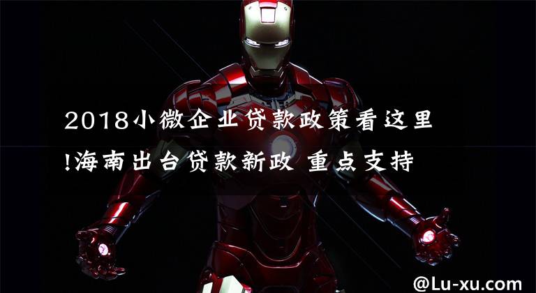 2018小微企业贷款政策看这里!海南出台贷款新政 重点支持小微企业