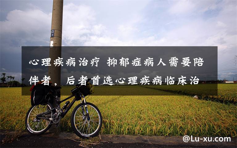 心理疾病治疗 抑郁症病人需要陪伴者，后者首选心理疾病临床治愈者或康复者