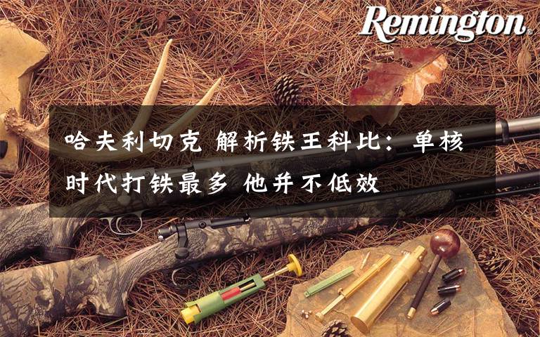 哈夫利切克 解析铁王科比:单核时代打铁最多 他并不低效