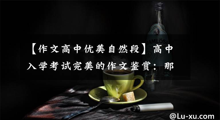 【作文高中优美自然段】高中入学考试完美的作文鉴赏:那天,阳光真的很好