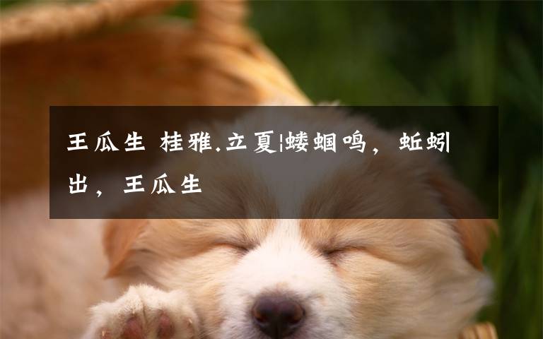 王瓜生 桂雅.立夏|蝼蝈鸣,蚯蚓出,王瓜生