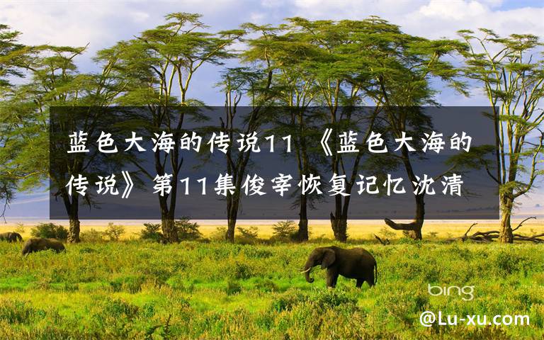 蓝色大海的传说11 《蓝色大海的传说》第11集俊宰恢复记忆沈清消失 《蓝色大海》分集剧情