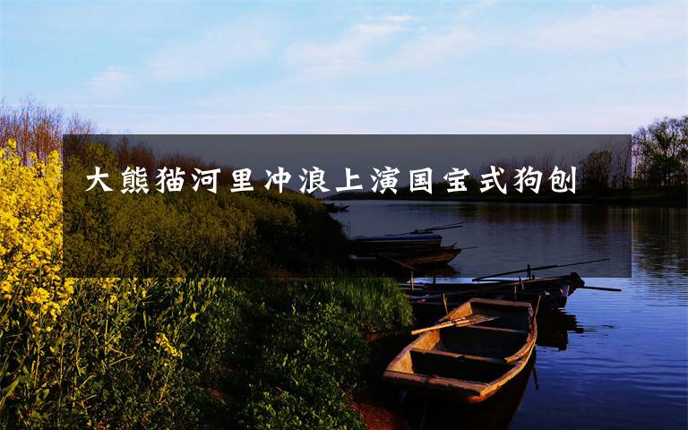 大熊猫河里冲浪上演国宝式狗刨