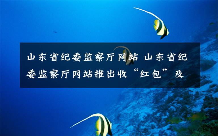 山东省纪委监察厅网站 山东省纪委监察厅网站推出收“红包”及购物卡问题举报专区