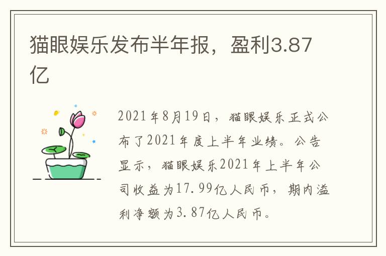 猫眼娱乐发布半年报，盈利3.87亿