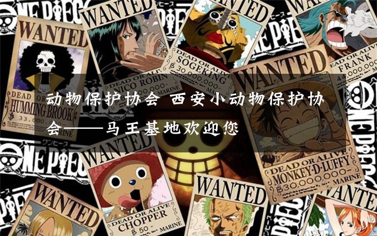 动物保护协会 西安小动物保护协会——马王基地欢迎您