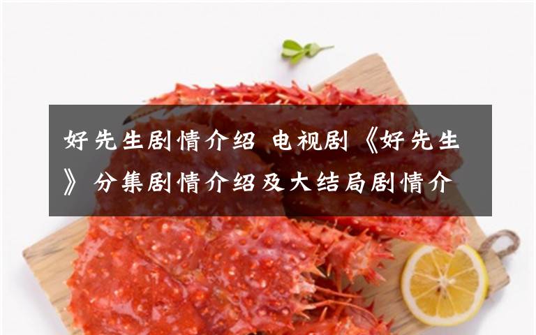 好先生剧情介绍 电视剧《好先生》分集剧情介绍及大结局剧情介绍