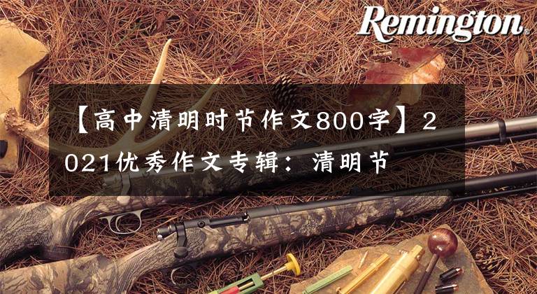 【高中清明时节作文800字】2021优秀作文专辑:清明节