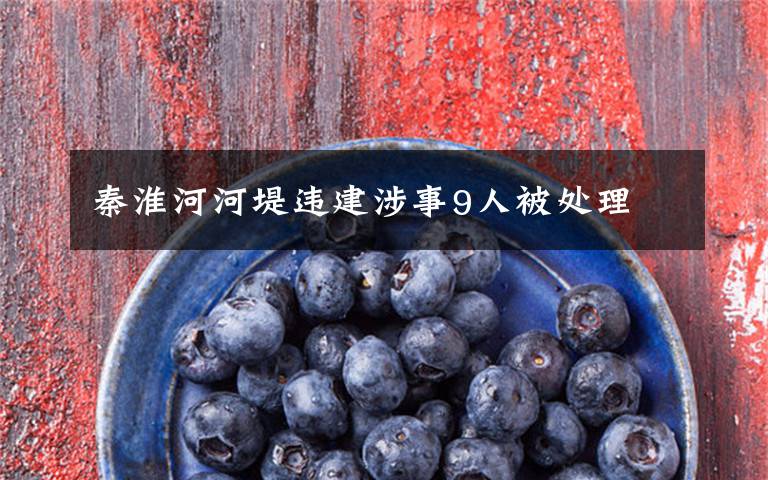 秦淮河河堤违建涉事9人被处理