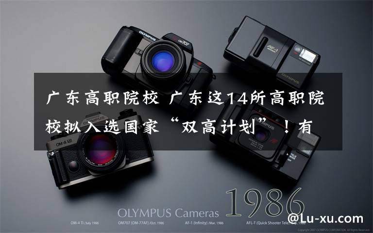 广东高职院校 广东这14所高职院校拟入选国家“双高计划”!有你的学校吗?
