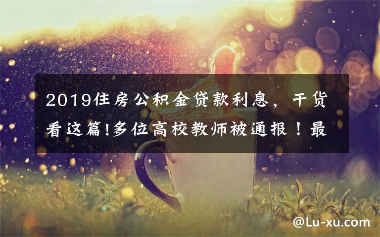2019住房公积金贷款利息,干货看这篇!多位高校教师被通报!最多一人涉及6所高校……