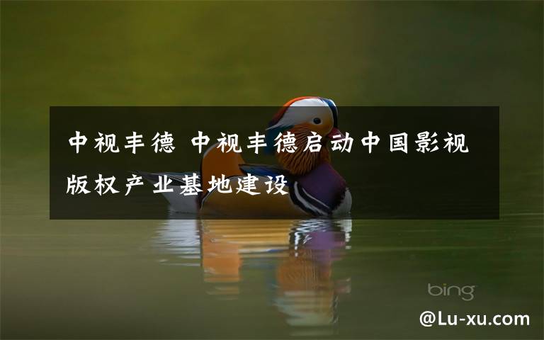 中视丰德 中视丰德启动中国影视版权产业基地建设