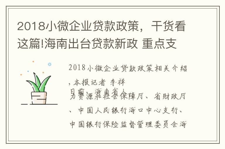 2018小微企业贷款政策,干货看这篇!海南出台贷款新政 重点支持小微企业